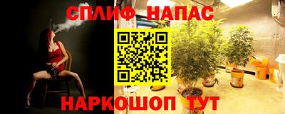jwh Будённовск