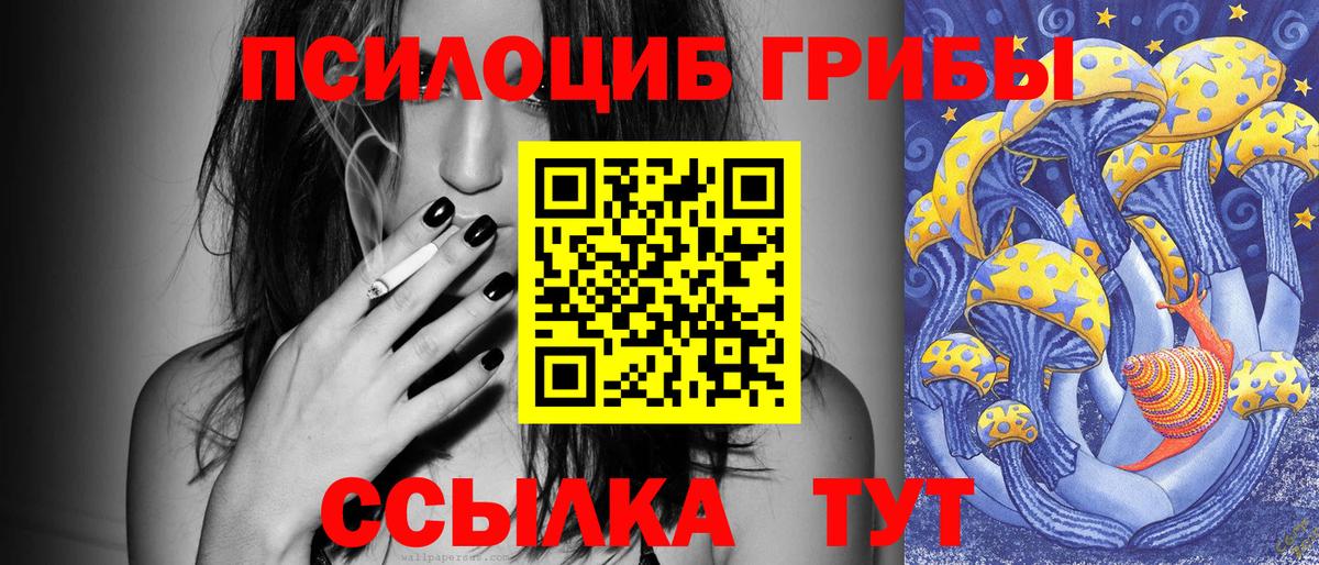 Михайловск  Псилоцибиновые грибы Magic Shrooms  Вход с VPN  Галлюциногенные грибы Psilocybe 