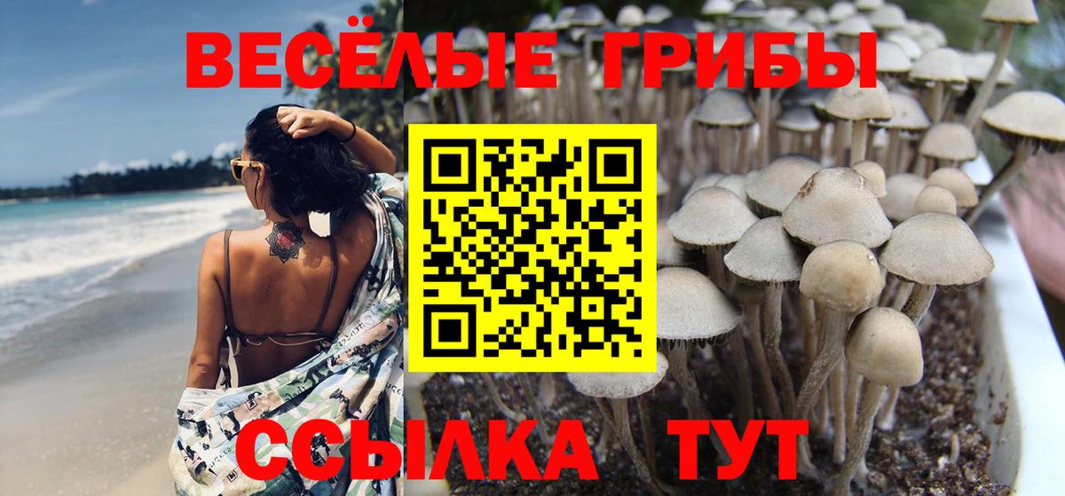 Галлюциногенные грибы GOLDEN TEACHER Михайловск